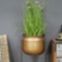 Large Brushed Gold Planter And Stand, thumbnail 1 of 1