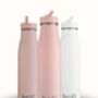 500ml Evolution Stainless Steel Insulated Bottle, thumbnail 1 of 6
