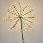 Solar Dandelion Outdoor Green Stake Light, thumbnail 4 of 4