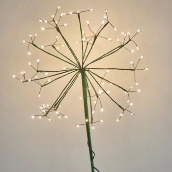 Solar Dandelion Outdoor Green Stake Light, 4 of 4