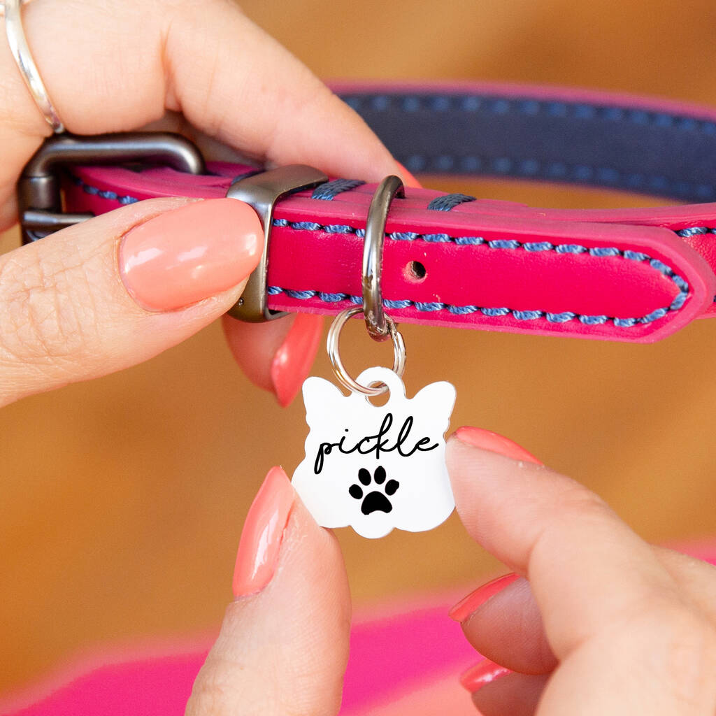 Personalised Cat Face Paw Print Cat ID Tag, 1 of 12