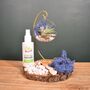 Diy Air Plant Terrarium Kit Hanging Terrarium Gift Blue Moss With Optional Gold Stand, thumbnail 7 of 7