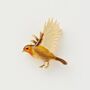 Fable Enamel Flying Robin Brooch, thumbnail 1 of 4