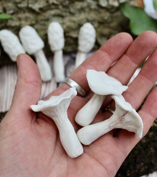 Porcelain Terrarium Fungi, 6 of 9