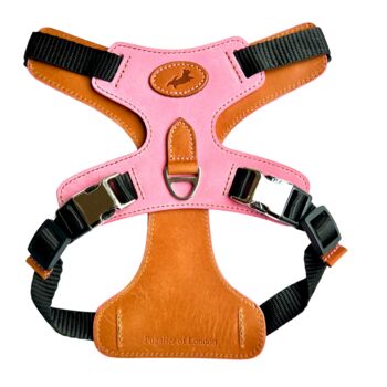 Pink Pooch Pack Harness, 2 of 6