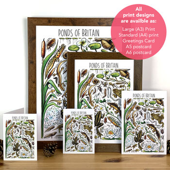 Pond Life Of Britain Blank Greeting Card, 4 of 8