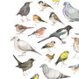 Garden Birds Watercolour Unframed Print, thumbnail 3 of 5