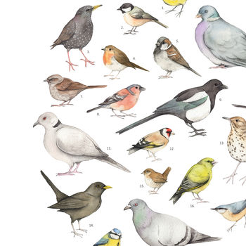 Garden Birds Watercolour Unframed Print, 3 of 5