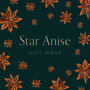 Christmas Star Anise Eco Wrapping Paper Sheet Pack, thumbnail 2 of 3
