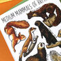 Medium Mammals Of Britain Greeting Card, thumbnail 11 of 11