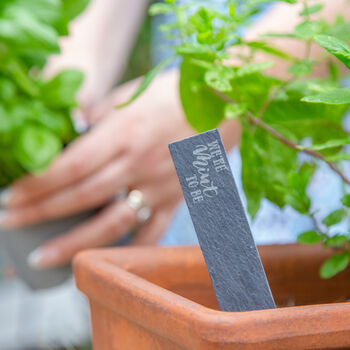 Cheeky Herb Slate Markers, Set Of Five, 5 of 5