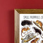 Small Mammals Of Britain Wildlife Print, thumbnail 5 of 9