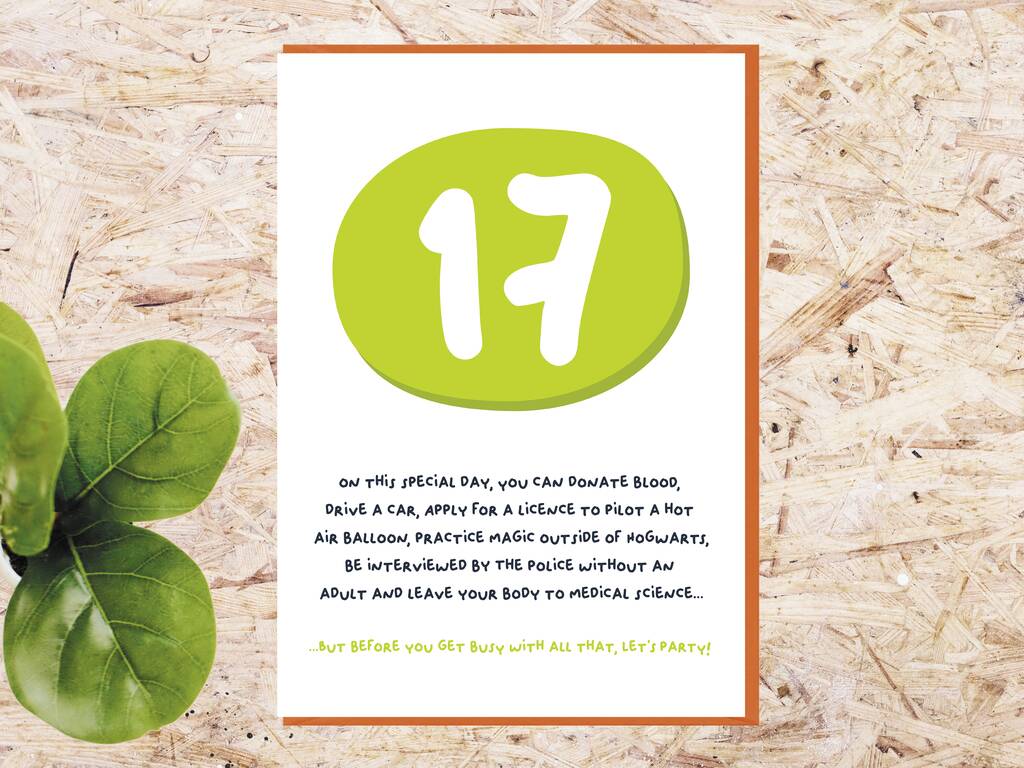 Funny 17th Birthday Card, 1 of 7