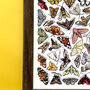 Moths Of Britain Wildlife Print, thumbnail 4 of 10