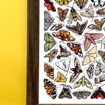 Moths Of Britain Wildlife Print, 4 of 10