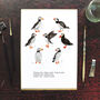 Improbability Of Puffins Art Print, thumbnail 2 of 8