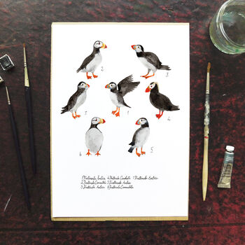 Improbability Of Puffins Art Print, 2 of 8
