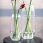 Vase Robert Clear Glass By Dut Z, thumbnail 4 of 6