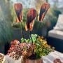 Set Of Three Copper Lily Garden Planter Stakes, thumbnail 3 of 10