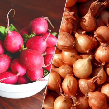 Grow Your Own Six Month Vegetable Seed Subscription, 5 of 9