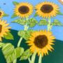 Sunflower Embroidery Kit, thumbnail 6 of 9