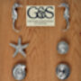 Starfish Solid Pewter Cabinet Handles, Door Knobs, thumbnail 5 of 8