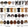 Personalised Dog Varsity Vacuum Water Bottle, thumbnail 7 of 12