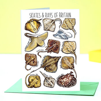 Skates And Rays Of Britain Greeting Card, 2 of 10