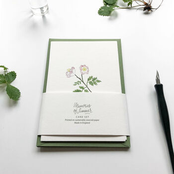 Botanical Wildflowers Hand Illustrated Notecard Set, 6 of 7