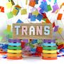 Wooden Trans Sign Pride Gift Decor, thumbnail 1 of 2