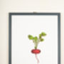 Red Radish Vegetable Wall Art, thumbnail 3 of 4