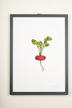 Red Radish Vegetable Wall Art, 3 of 4