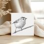 Goldcrest Bird Hand Drawn Greeting Card, thumbnail 1 of 6