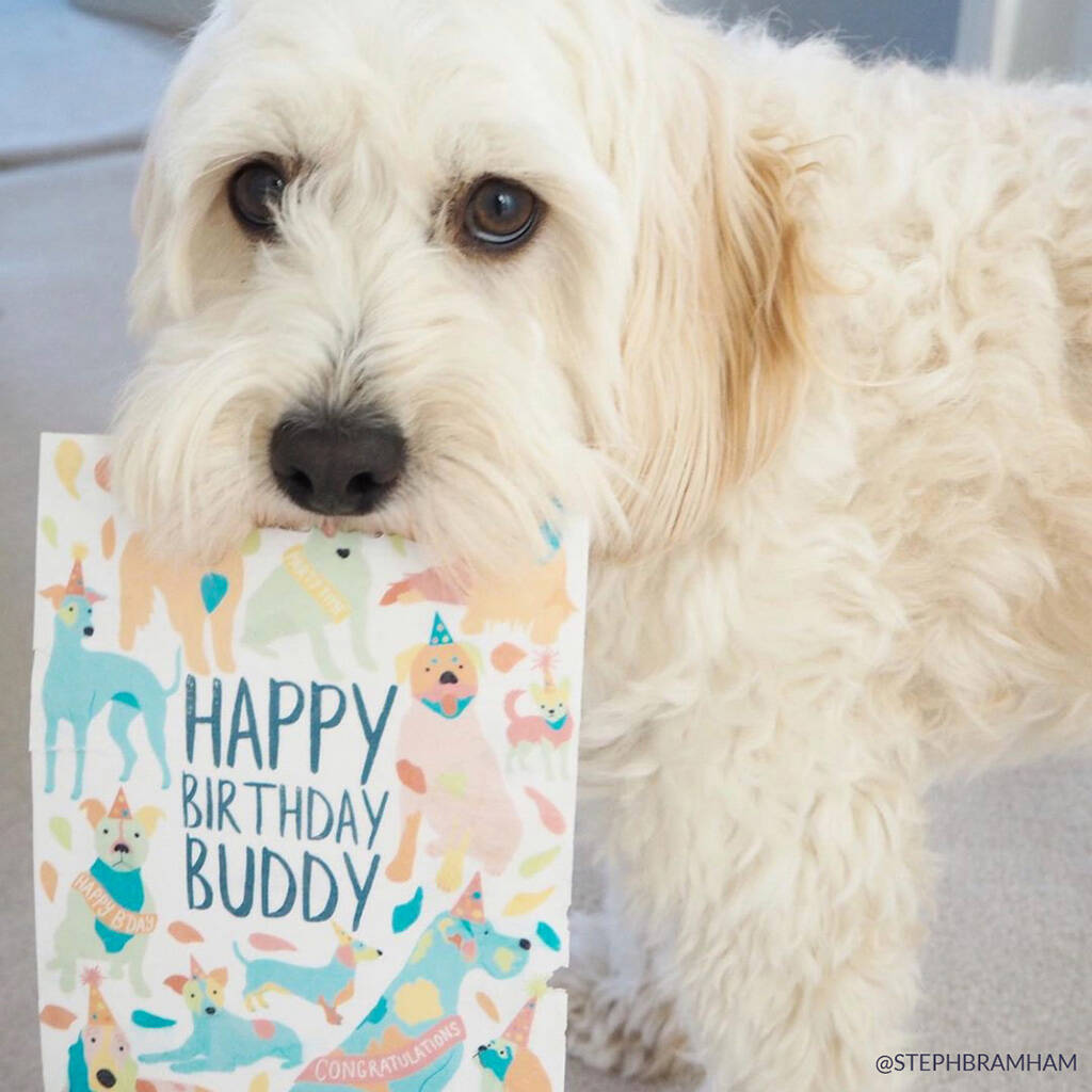 Personalised 'Happy Birthday' Edible Card For Dogs By Scoff Paper