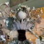 Enchanted Christmas Woodland Berry Fairy Treetopper, thumbnail 6 of 12