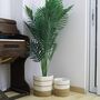Pack Of Two Flower Planter Storage Containers, thumbnail 3 of 12