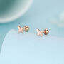 Sterling Silver Butterfly 18 G Screw Back Stud Earrings, thumbnail 5 of 12