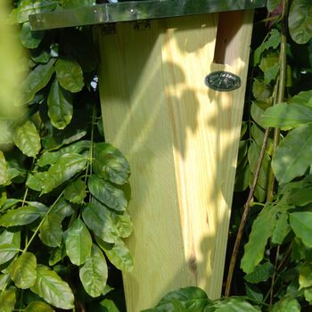Fsc® Pine Treecreeper Nest Box With Zinc Roof 41.5cm, 5 of 6