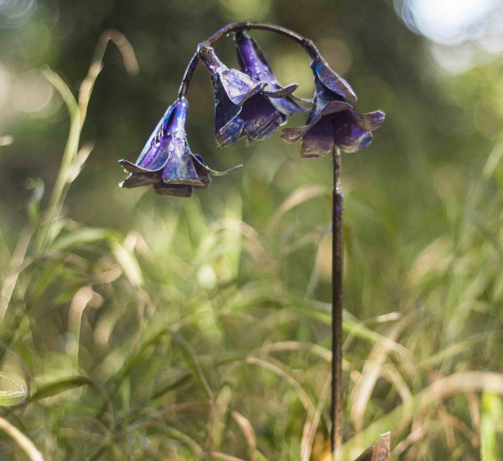 Bluebell Handmade Recycled Metal Garden Sculpture By Chi ...