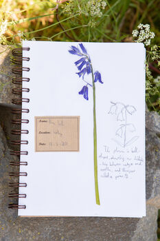 The Herbarium Kit, 3 of 8