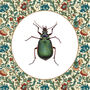 Green Beetle On William Morris Inspired Background, thumbnail 3 of 6