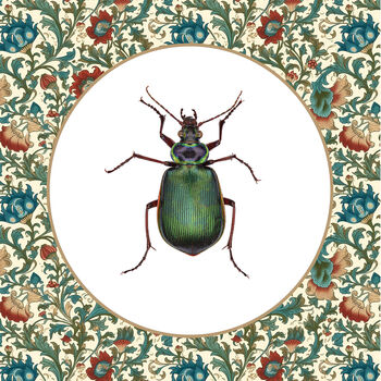 Green Beetle On William Morris Inspired Background, 3 of 6