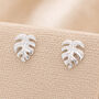 Sterling Silver Monstera Leaf Stud Earrings, thumbnail 1 of 10
