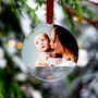 Personalised Photo New Born First Christmas Decoration, thumbnail 7 of 8