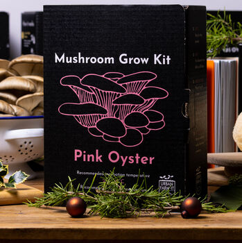 Oyster Mushroom Growing Kit, 3 of 11