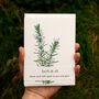 Ysbwynwydd Welsh Herbs Rosemary Card With Seeds, thumbnail 1 of 7