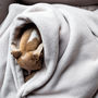 Luxury Double Fleece Pet Blanket, thumbnail 1 of 7