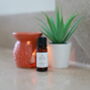 'Uplift' Aromatherapy Blend, thumbnail 1 of 3