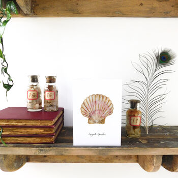 Scallop Shell A6 Greetings Cards, 2 of 7