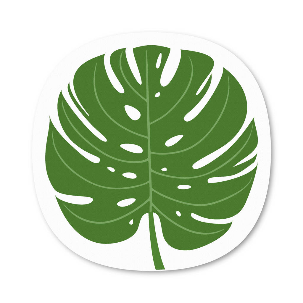 Monstera Leaf Design Placemat And Coaster By Beyond the Fridge ...